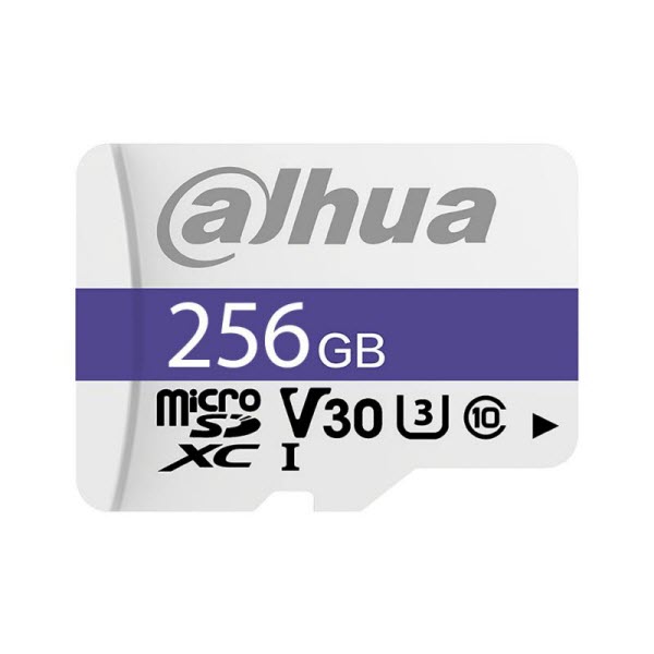 DHI-TF-C100/256GB